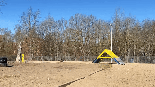 Home | Lemmika — Pet Boarding in Tallinn Stitch running | Lemmika — Pet Boarding in Tallinn