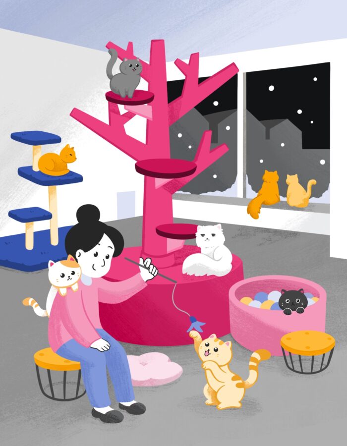 Lemmika Cat Hotel in Tallinn