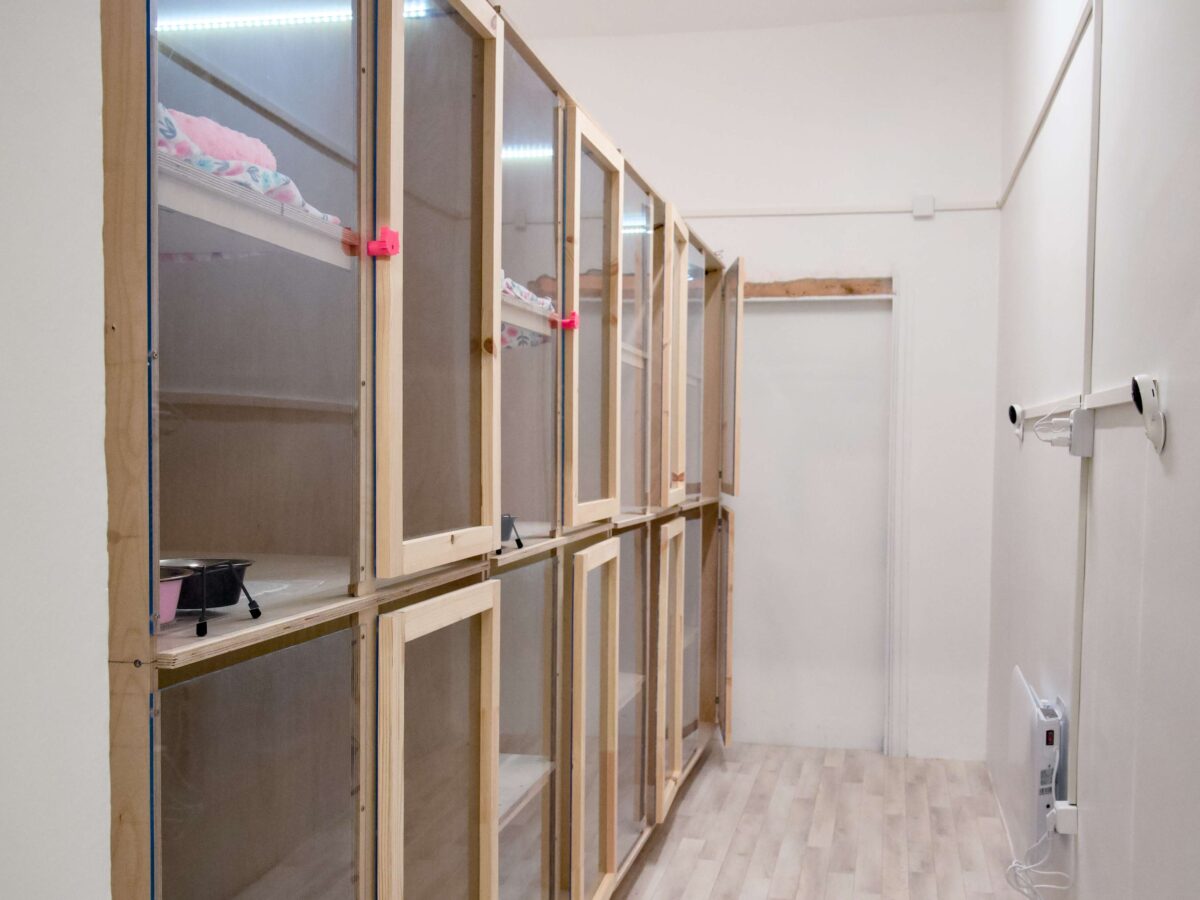 Kasside Hotell | Lemmika Pet Hotel & Daycare based in Tallinn, Estonia — Pet Boarding in Tallinn Lemmika CatRoom 1 | Lemmika Pet Hotel & Daycare based in Tallinn, Estonia — Pet Boarding in Tallinn