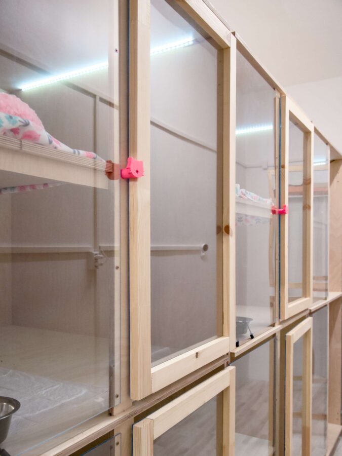 Kasside Hotell | Lemmika Pet Hotel & Daycare based in Tallinn, Estonia — Pet Boarding in Tallinn Lemmika CatRoom 2 | Lemmika Pet Hotel & Daycare based in Tallinn, Estonia — Pet Boarding in Tallinn