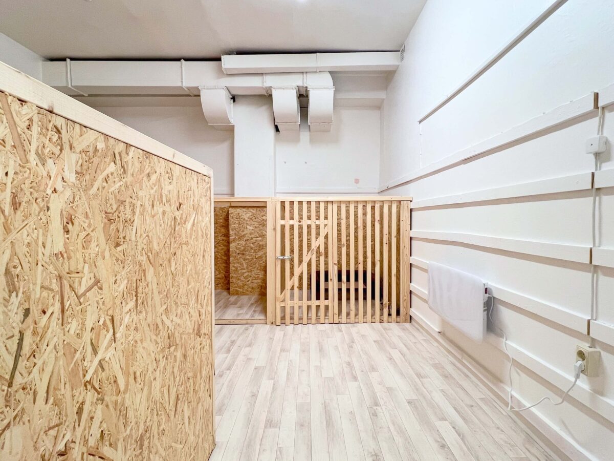 Lemmika DogRoom 1 | Lemmika Pet Hotel & Daycare based in Tallinn, Estonia &mdash; Pet Boarding in Tallinn