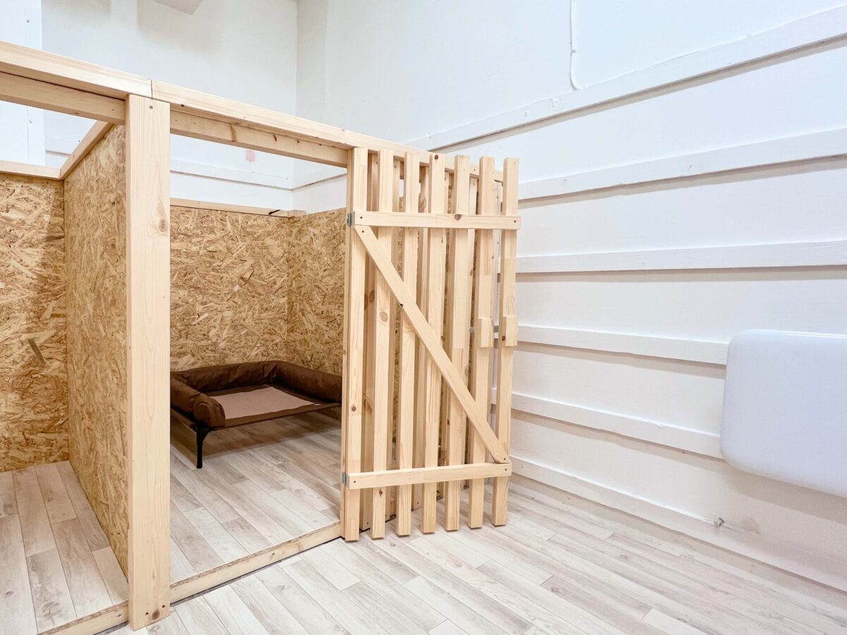 Lemmika DogRoom 3 | Lemmika Pet Hotel & Daycare based in Tallinn, Estonia &mdash; Pet Boarding in Tallinn