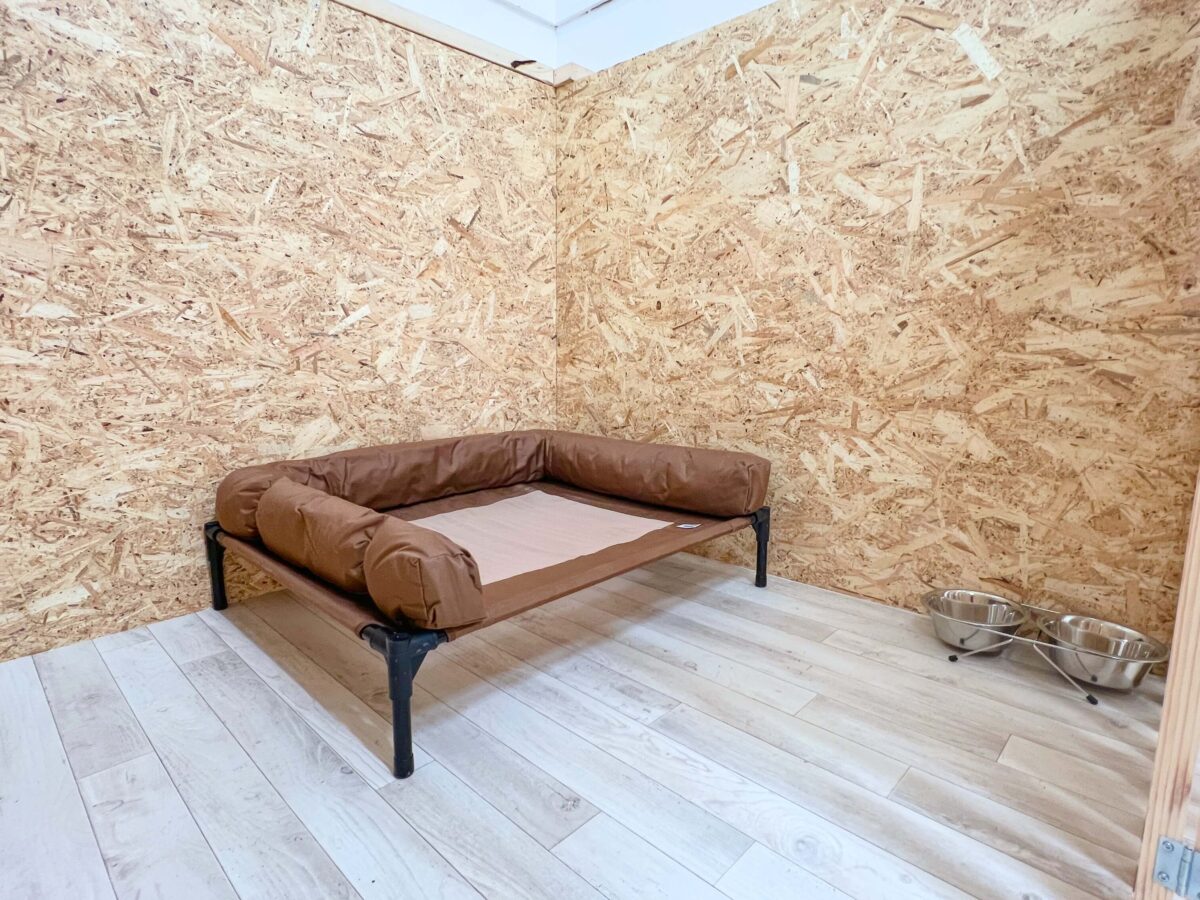 Lemmika DogRoom 4 | Lemmika Pet Hotel & Daycare based in Tallinn, Estonia &mdash; Pet Boarding in Tallinn