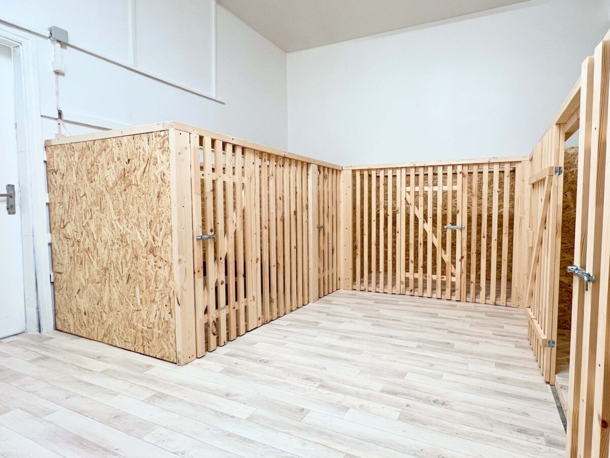 Lemmika DogRoom 5 | Lemmika Pet Hotel & Daycare based in Tallinn, Estonia &mdash; Pet Boarding in Tallinn