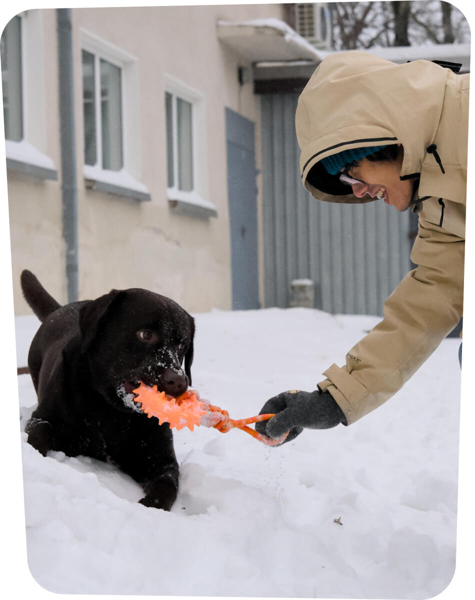 Avaleht | Lemmika Pet Hotel & Daycare based in Tallinn, Estonia — Pet Boarding in Tallinn Lemmika - Asep Bagja