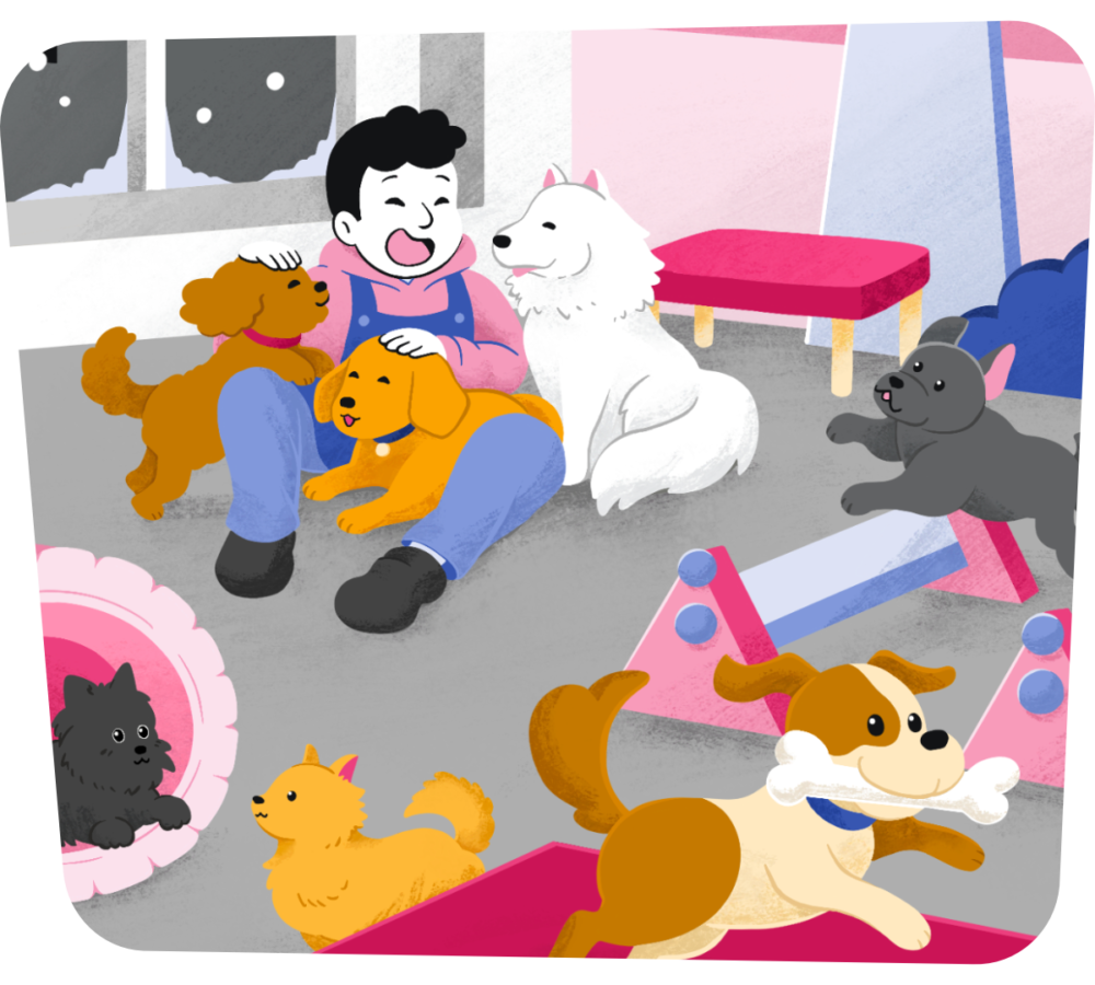 Doggy Daycare | Lemmika Pet Hotel & Daycare based in Tallinn, Estonia — Pet Boarding in Tallinn Hero Daycare | Lemmika Pet Hotel & Daycare based in Tallinn, Estonia — Pet Boarding in Tallinn