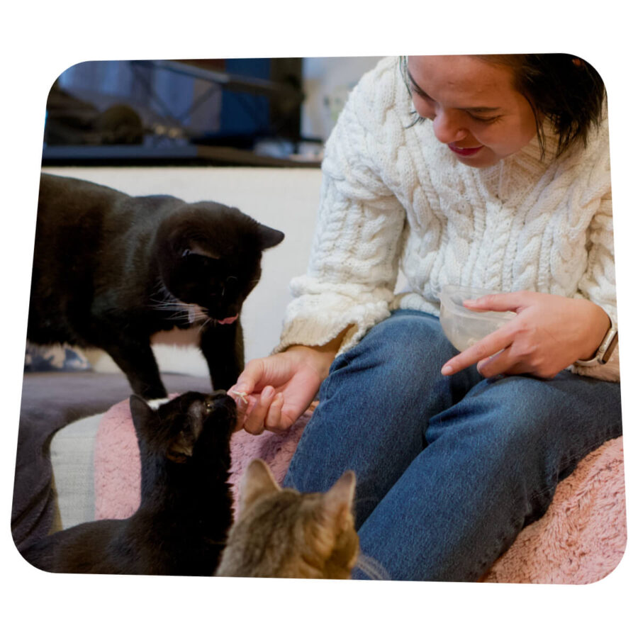 Family 2 | Lemmika Pet Hotel & Daycare based in Tallinn, Estonia &mdash; Pet Boarding in Tallinn